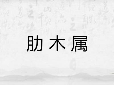 肋木属