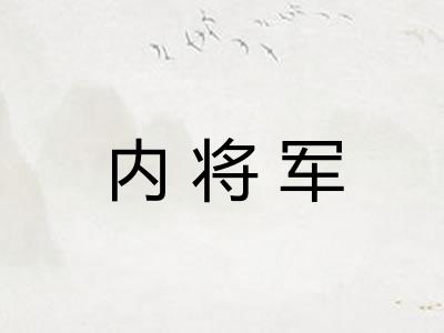 内将军