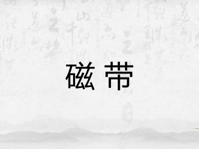 磁带