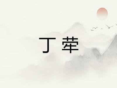 丁荦