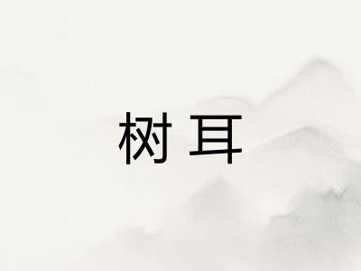 树耳
