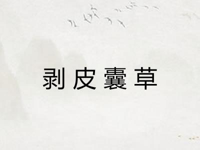 剥皮囊草