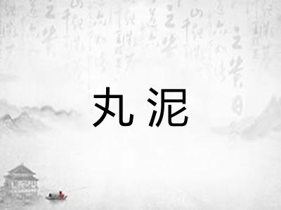 丸泥