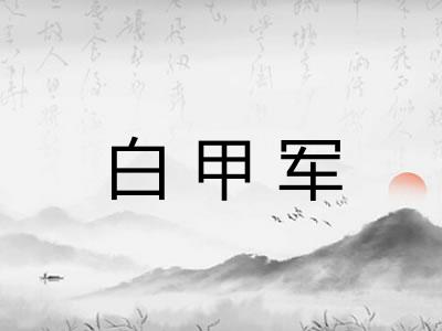 白甲军