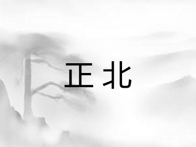 正北