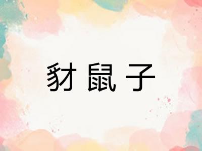 豺鼠子