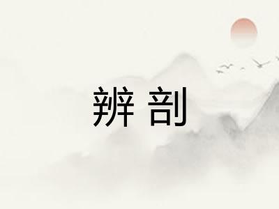 辨剖