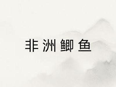 非洲鲫鱼