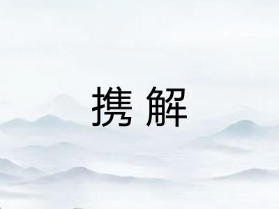 携解