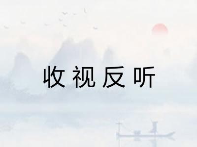 收视反听