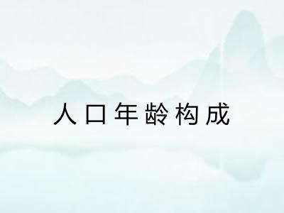 人口年龄构成