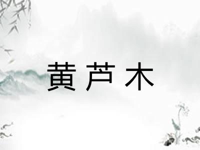 黄芦木