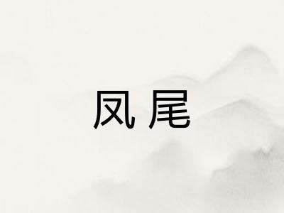 凤尾