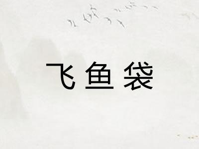 飞鱼袋