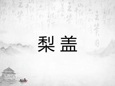 梨盖