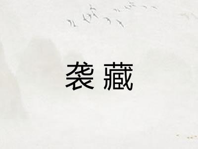 袭藏
