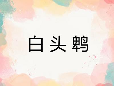 白头鹎