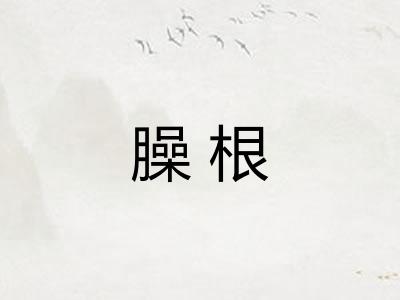 臊根