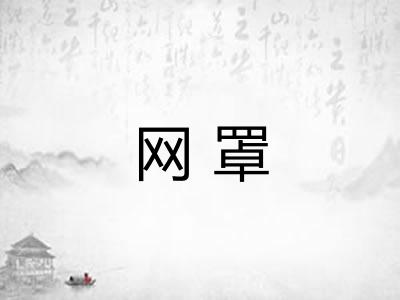 网罩