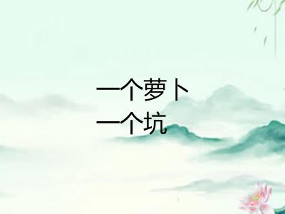 一个萝卜一个坑