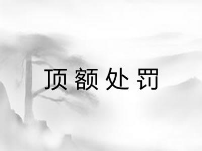 顶额处罚