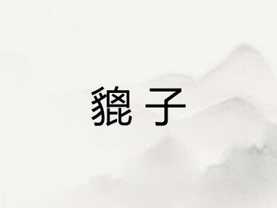 貔子