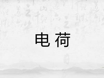 电荷