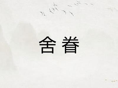 舍眷