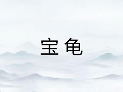 宝龟