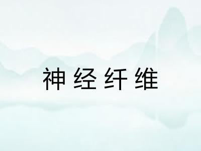 神经纤维
