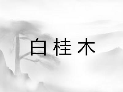 白桂木