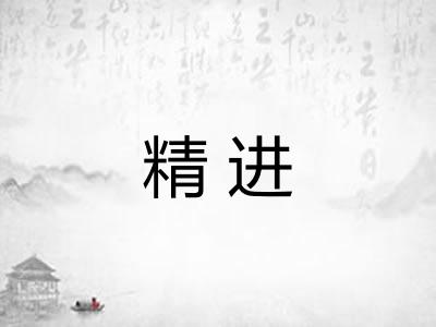 精进