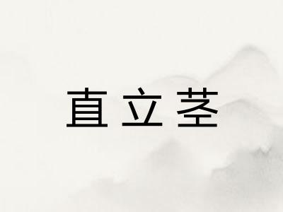 直立茎