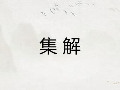 集解