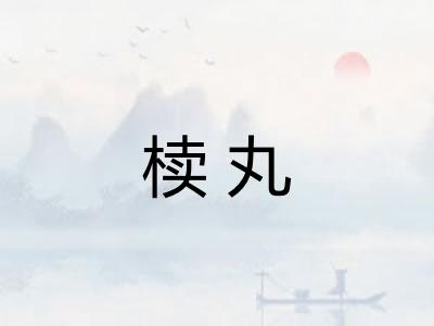 椟丸