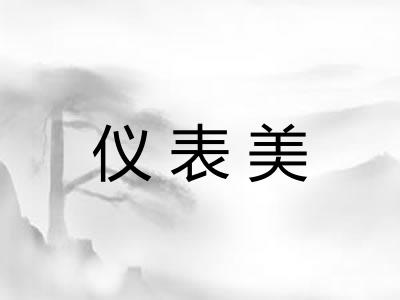 仪表美