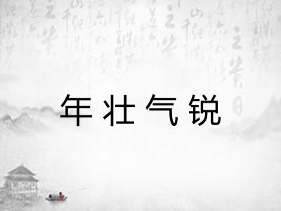 年壮气锐