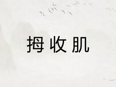 拇收肌