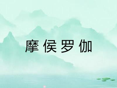 摩侯罗伽