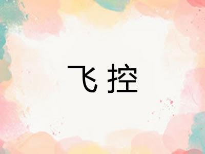 飞控