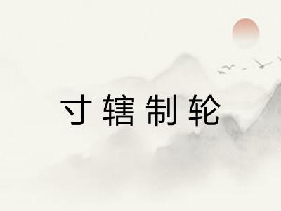寸辖制轮