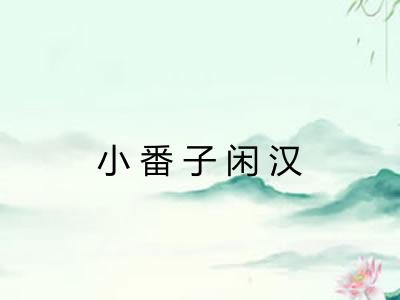 小番子闲汉