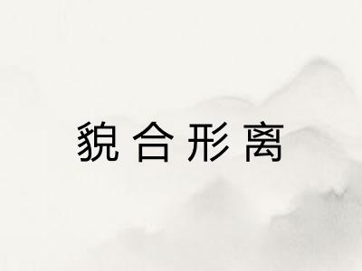 貌合形离