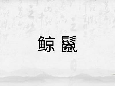 鲸鬣