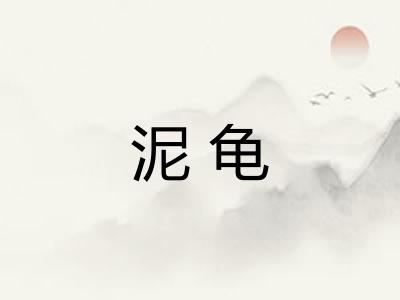 泥龟