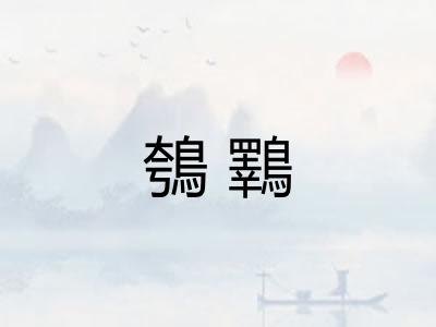 鴮鸅