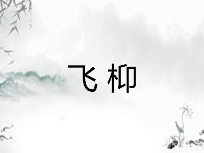 飞枊