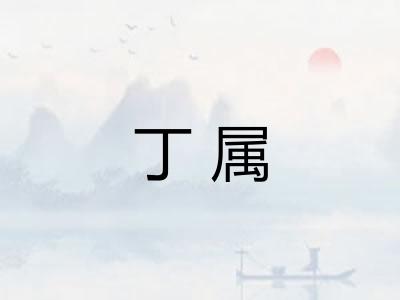 丁属