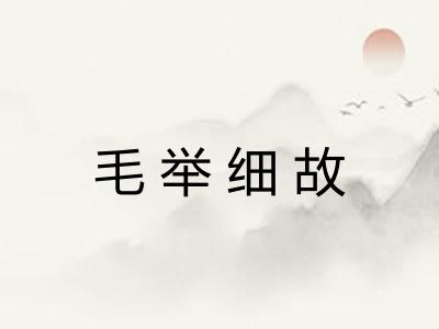 毛举细故