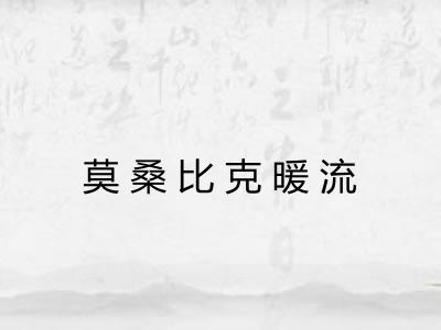 莫桑比克暖流